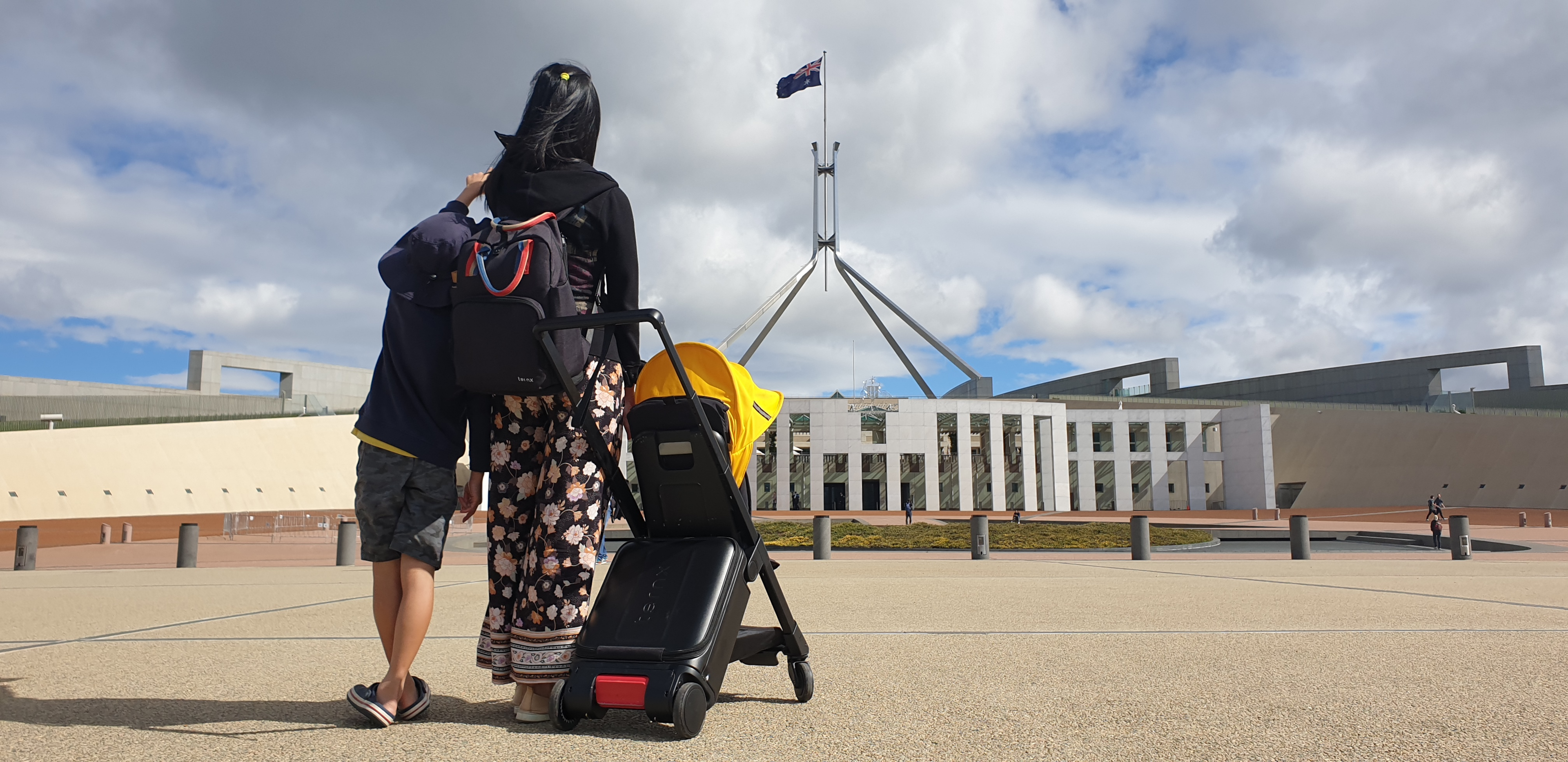 carry on luggage stroller