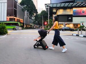 Baby Travel Essentials_Luggage Stroller